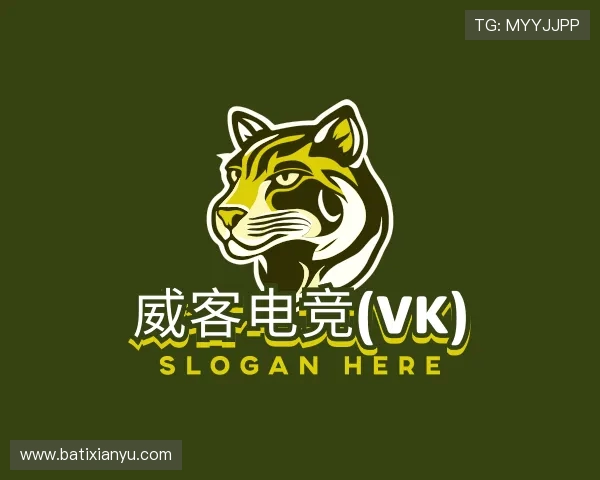 认识威客电竞(vk)